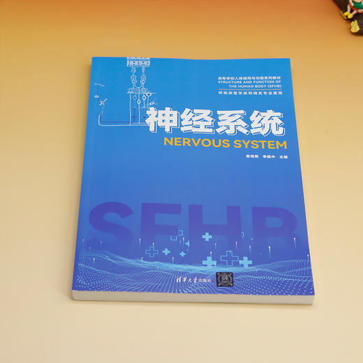 神经系统 商品图3