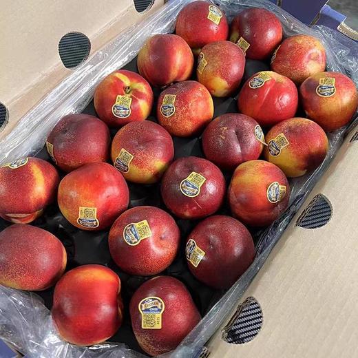 澳洲黄肉油桃 金腰带 商品图2