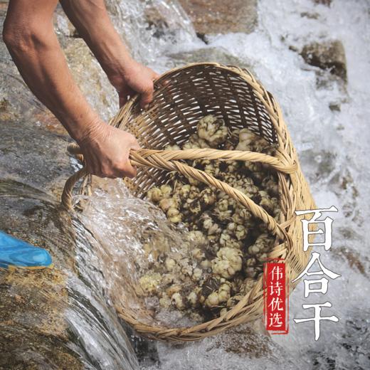 【百合干】500g 商品图3