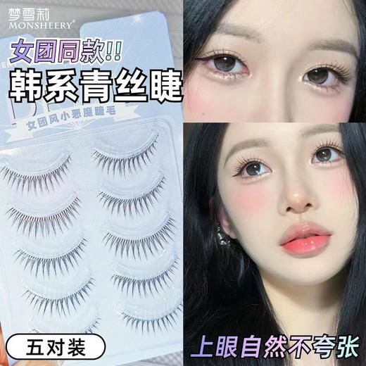 ALBB-韩式女团青丝细透明梗假睫毛一片式5对装小恶魔新娘装整条眼睫毛 商品图0