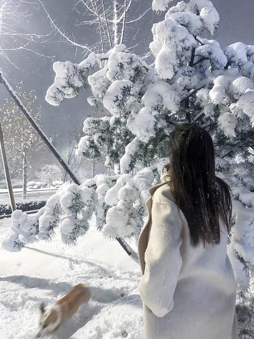 新推出90羽绒内衬出口欧洲大牌订单高货😀【花侍·高端90白鸭绒长款毛呢羽绒大衣外套】暖暖过冬羽绒内胆高贵女士首选大衣送妈妈 商品图3