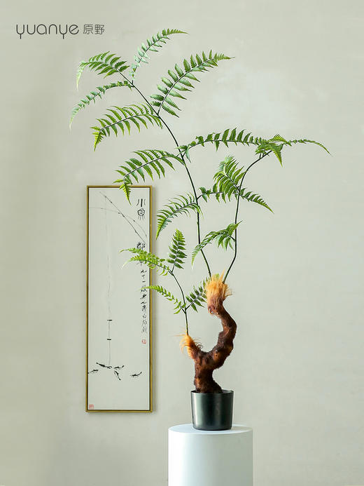 仿真金丝蕨植物假绿植客厅商场酒店装饰造景落地室内盆景摆设件 商品图3