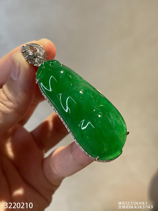 老坑艳绿富贵豆吊坠【3220210】具体价格微信咨询 商品图0