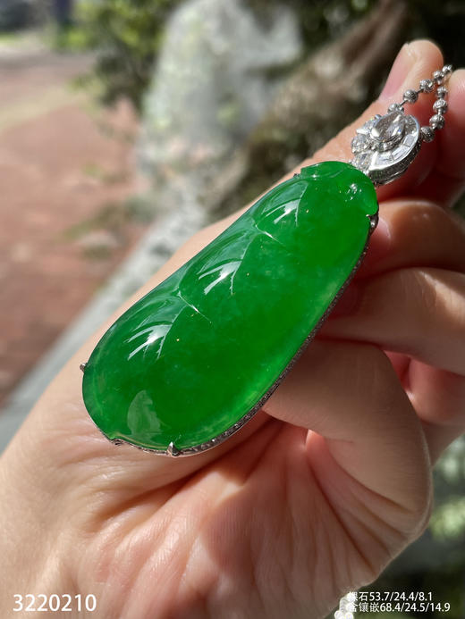 老坑艳绿富贵豆吊坠【3220210】具体价格微信咨询 商品图5