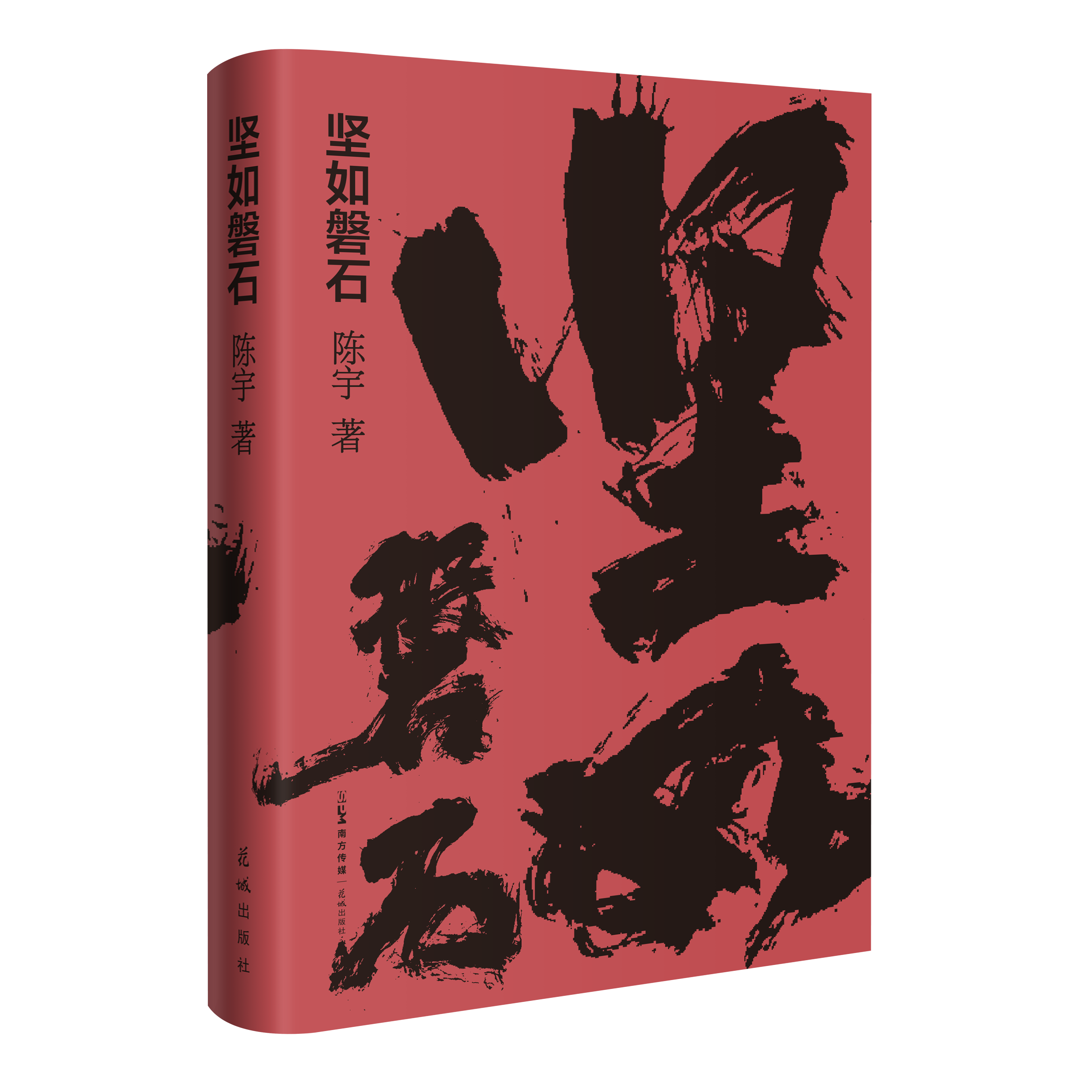 坚如磐石 原著小说 陈宇最新悬疑力作