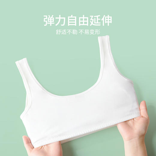 女童背心内衣发育期10-14岁少女文胸两件装春新款安奈儿童装JG417113 商品图3