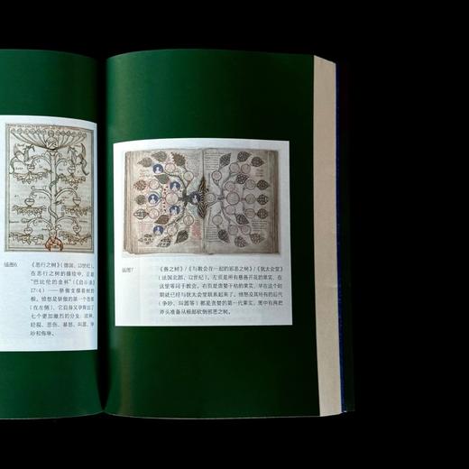 愤怒：一部关于情绪的冲突史 商品图5