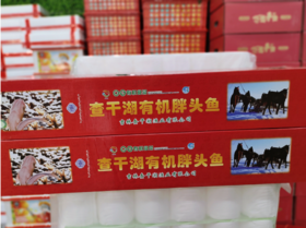 一鱼一码胖头鱼一条（10斤左右）