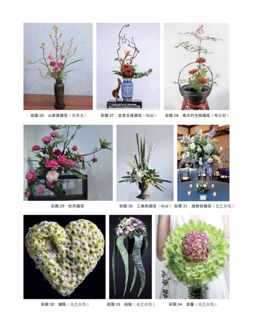 鲜切花生产技术2445 商品图12