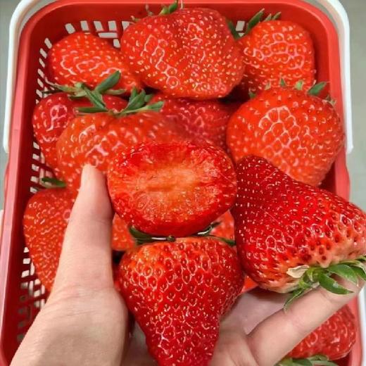 草莓（筐） 商品图0