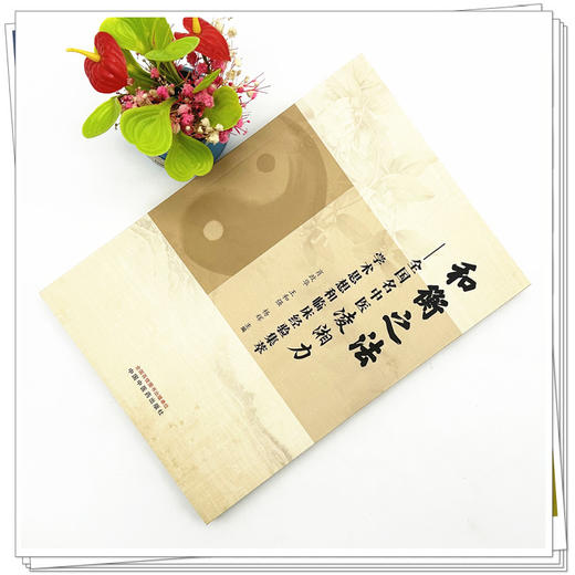 和衡之法 : 全国名中医凌湘力学术思想和临床经验集萃 肖政华 王和强 杨辉 主编 中国中医药出版社 中医学术 书籍 商品图2