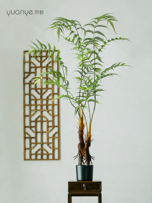 仿真金丝蕨植物假绿植客厅商场酒店装饰造景落地室内盆景摆设件 商品图0