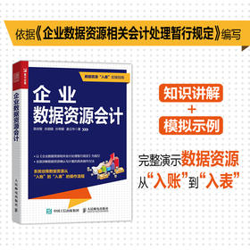 企业数据资源会计 讲解数据资源从入账到入表操作流程 以2024年企业数据资源相关会计处理暂行规定为指引 财务参考图书籍