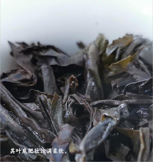 正岩 坑涧大红袍 50克 一支品岩韵的茶 传统工中足火 商品图6