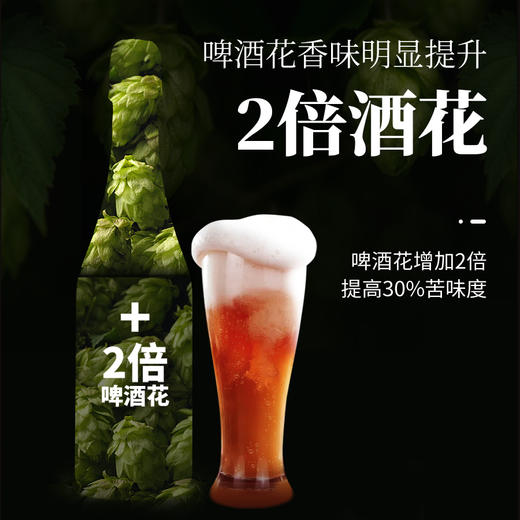 【配料表干净0添加 德系工艺白啤】轩博精酿啤酒龙年礼盒14°P至尊/12°P黄金版 商品图5