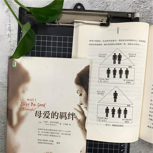 母爱的羁绊 卡瑞尔·麦克布莱德 著 心理学 商品图1