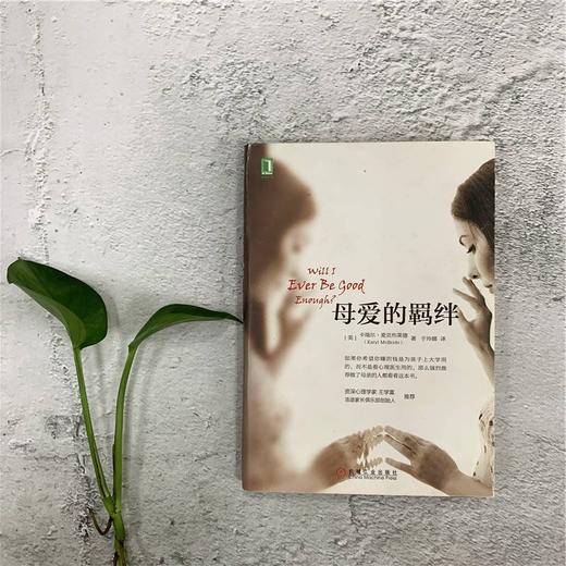 母爱的羁绊 卡瑞尔·麦克布莱德 著 心理学 商品图3