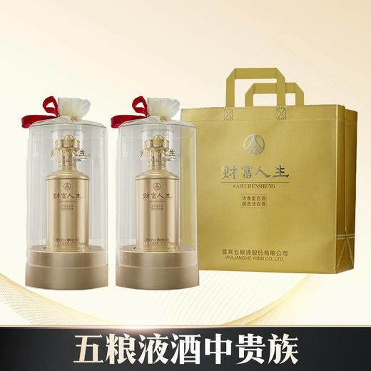 【清仓五手提袋】五粮液股份 财富人生（金龙）浓香型 52度 500ml x2 双支 商品图1