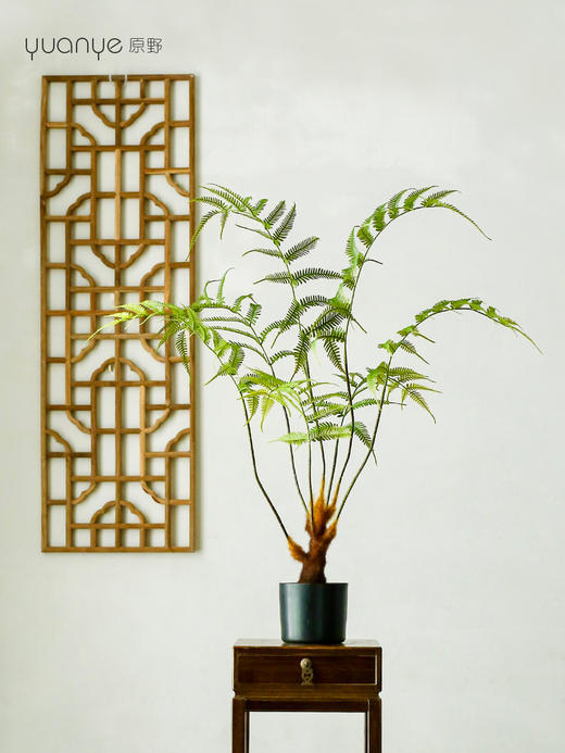 仿真金丝蕨植物假绿植客厅商场酒店装饰造景落地室内盆景摆设件 商品图7