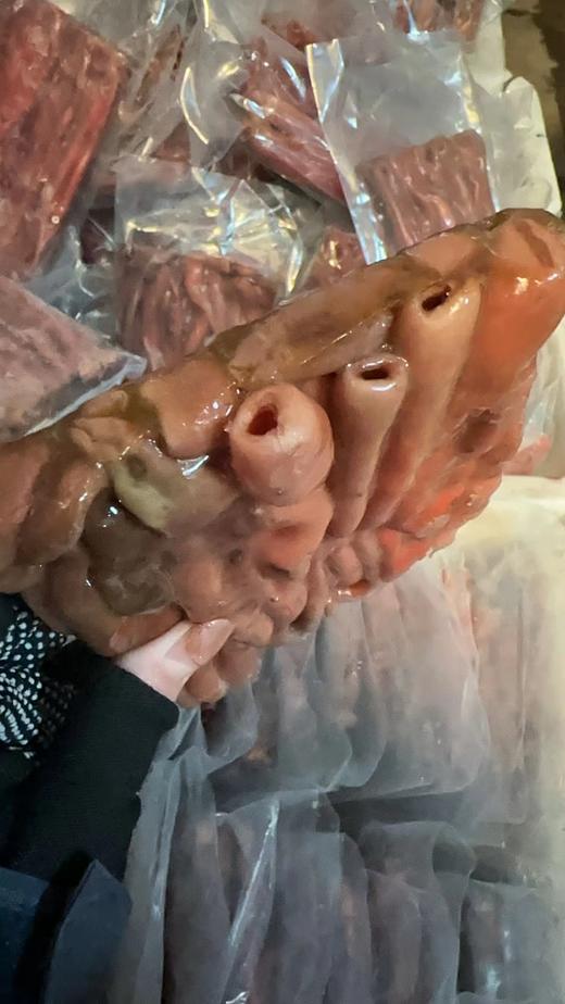 新到海肠，活肠加工，200g一袋，涮火锅、做海肠捞饭、做捞汁海肠，嘎嘎好吃！东三省包邮 商品图5