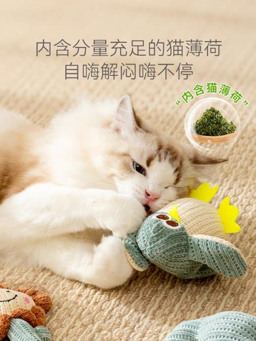 猫薄荷猫草自嗨解闷神器耐咬磨牙玩具小企鹅 商品图4