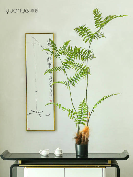 仿真金丝蕨植物假绿植客厅商场酒店装饰造景落地室内盆景摆设件 商品图8