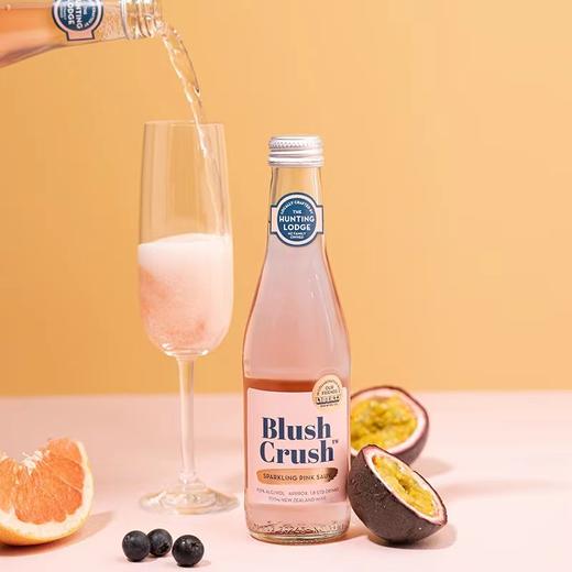 琅廷粉黛红颜长相思起泡葡萄酒 商品图6