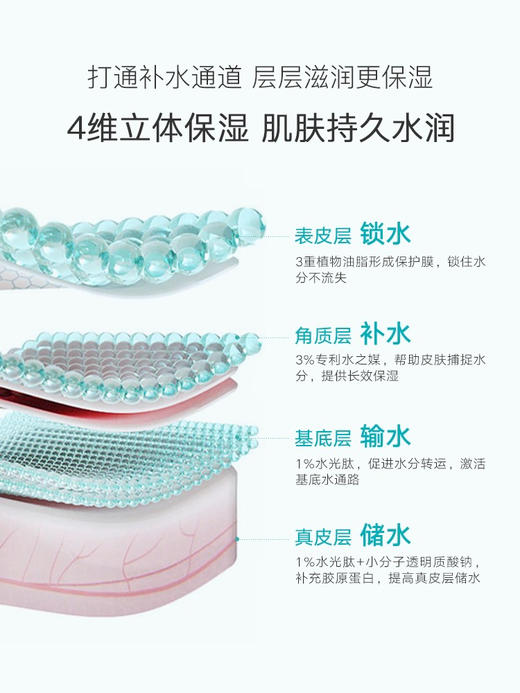 泊本高保湿舒缓面霜/瓶50g 商品图3