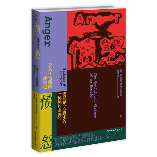 愤怒：一部关于情绪的冲突史 商品图0
