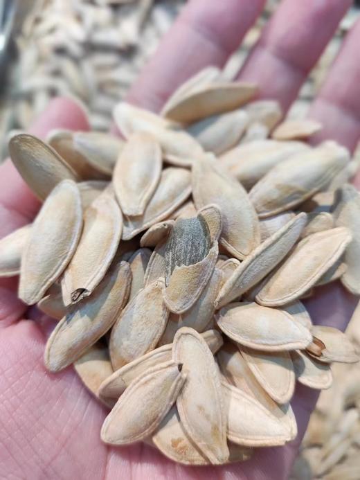 【坚果系列】巴郎南瓜子 酥脆，壳薄，好剥，颗粒饱满~ 商品图0