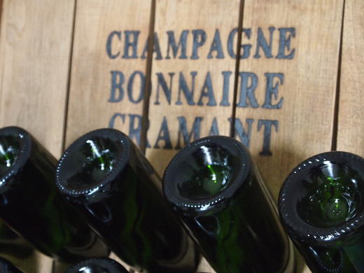 Bonnaire Terroirs Grand Cru Blanc de Blancs 宝奈儿香槟风土特级白中白 商品图2