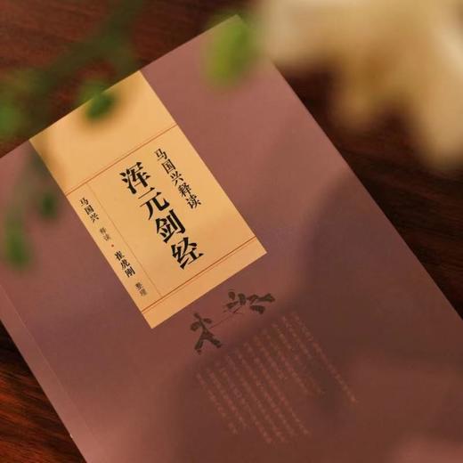 马国兴释读《浑元剑经》 商品图2