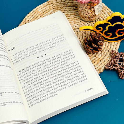 中国文学经典 古代小说戏曲卷 陈引驰 周兴陆 传统文化经典阅读 原典解读 商品图6