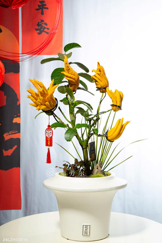 24LZH03014 商品图0