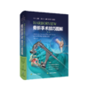 HARBORVIEW骨折手术技巧图解（第二版）  主译 张伟 辽科出版 商品缩略图0