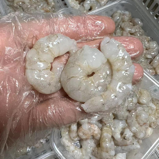 【野生沙鲈虾仁】纯野生沙鲈虾剥壳 ，零添加，食用方便，肉质Q弹，营养美味 商品图2