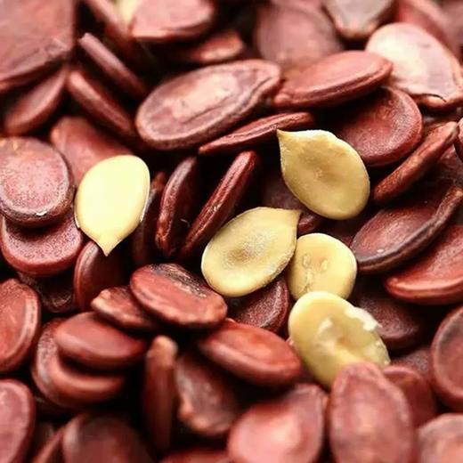 蒸汽煮红瓜子 商品图1