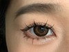 SUGARPLUM 烤面包 日抛 十片 14.5mm 参考着色13.9mm 基弧8.5 含水40% 韩国进口 商品缩略图3