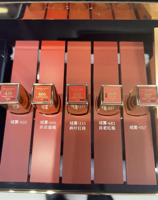 Estee laude雅诗兰黛口红哑光唇膏绒雾小金管 丝绒持久保湿333 420 557 （需要礼袋可备注） 商品图4