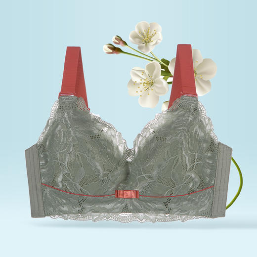 熳洁儿 内衣女大胸显小薄款无钢圈文胸收副乳调整型全罩杯大码胸罩BCDE杯21261522 商品图1