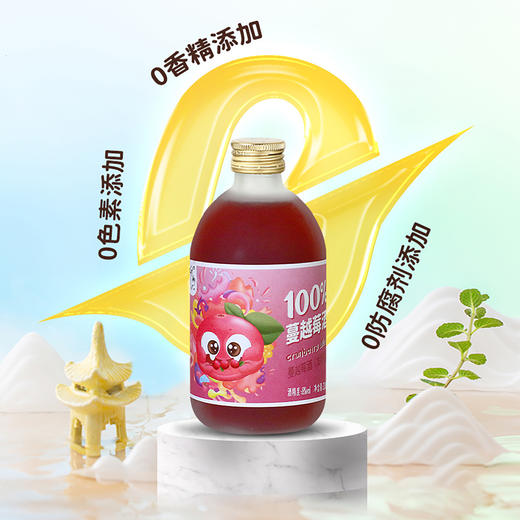 通明山果酒330ml*6瓶礼盒装  6-14度微醺女士低度甜酒 中秋送礼生日聚会酒水饮品 全国包邮（春节期间正常发货） 商品图4