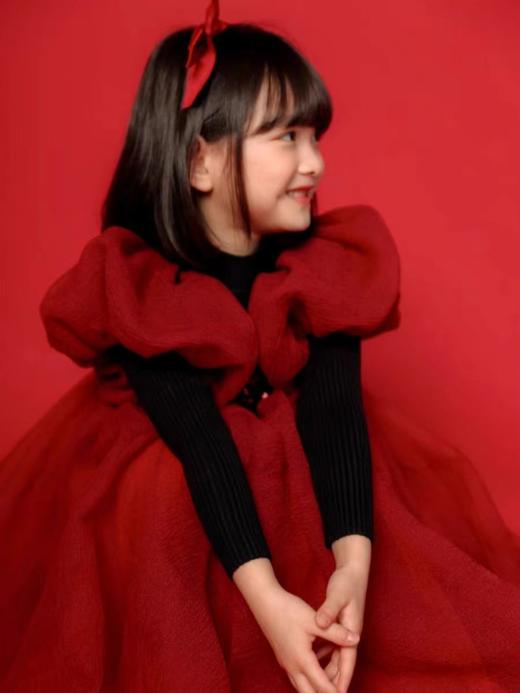 红韵公主裙 商品图3