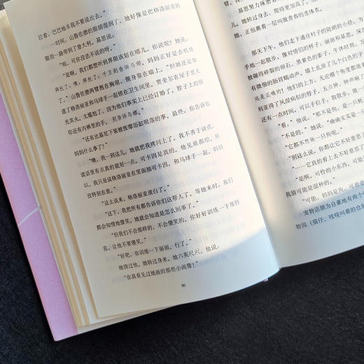 怀孕的寡妇（英）马丁艾米斯 著 商品图2