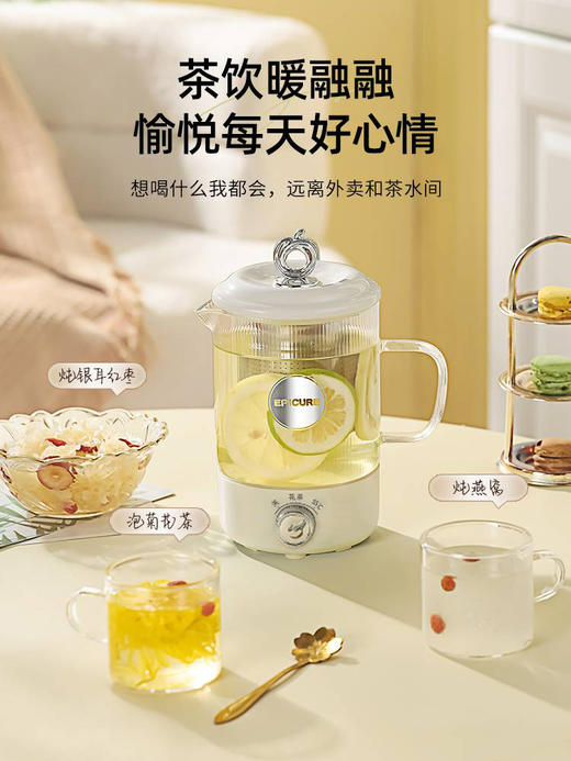 【花茶养生壶】积分专项1 商品图4