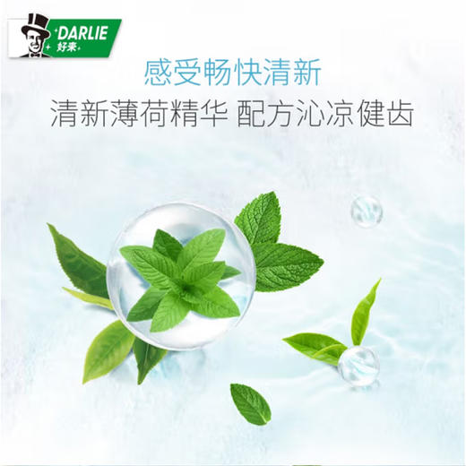 DARLIE好来茶倍健牙膏（龙井薄荷）【140g】 商品图2