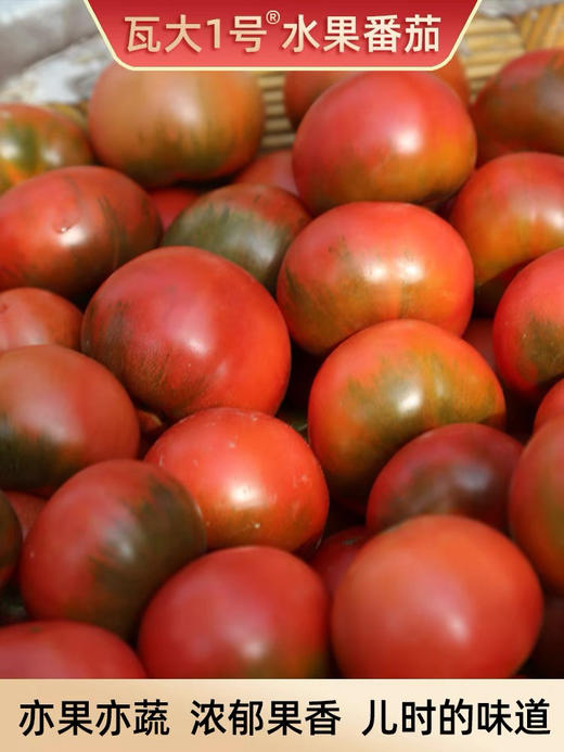 周五配送！【瓦大1号鲜食番茄】
番茄中的国货之光！绿色食品认证，国家农业化重点龙头企业！产地溯源，小时候吃的番茄味又回来了，沙瓤多汁，酸酸甜甜！目前在全国七个省市有自建基地，总面积上万亩！5斤/箱 商品图2
