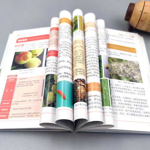 桃病虫害绿色防控彩色图谱 商品图3