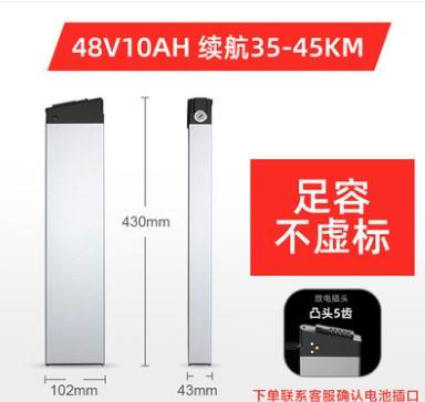 小悠X6  48V10A凸头五齿电池 商品图0