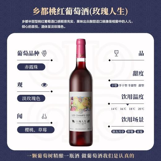 新疆乡都葡萄酒系列（下单72小时发货） 商品图5