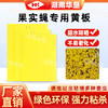 黄板果实蝇桔小实蝇诱粘板防水防晒抗老化双面粘虫大棚专用诱虫板 商品缩略图4
